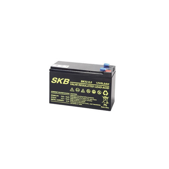 BATTERIA PIOMBO 12V 9AH SKB