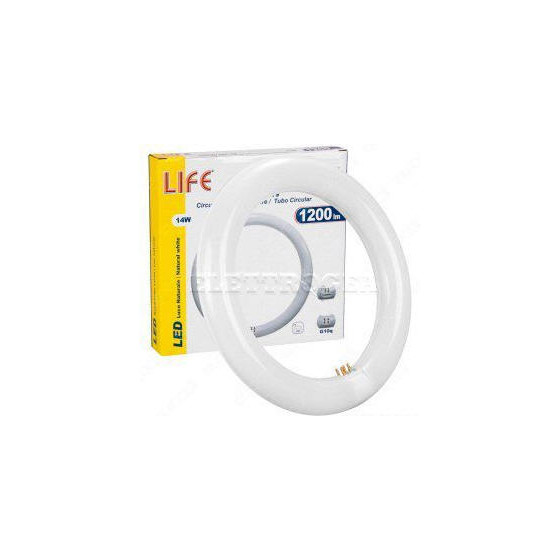 39.940302N Life Circolina...