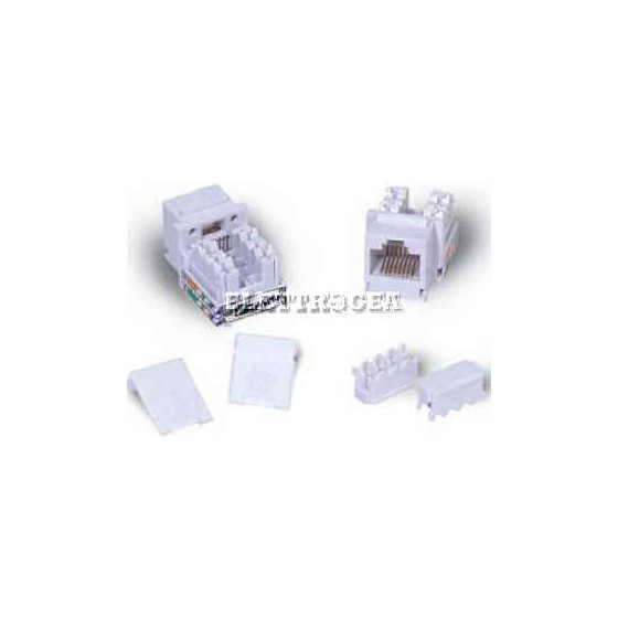 PRESA DI RETE QUBIX  RJ45 CAT.5E UTP 568A/B